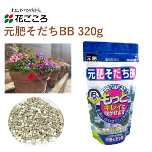 Ԃ 삻BB 320g 엿 |  {엿 邾 y ȒP 엿 |pi _Ǝ _Ɨpi ƒ؉ K[fjO K[fjOpi K[f   Ԓd A y