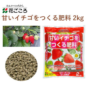 Ԃ ÂC`S엿 2kg 엿 C`S | L@f 邾 y ȒP 엿 |pi _Ǝ _Ɨpi ƒ؉ K[fjO K[fjOpi K[f   Ԓd 