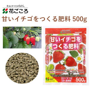 Ԃ ÂC`S엿 500g 엿 C`S | L@f 邾 y ȒP 엿 |pi _Ǝ _Ɨpi ƒ؉ K[fjO K[fjOpi K[f   Ԓd 