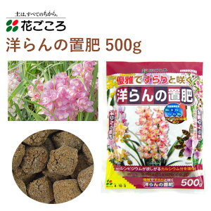 Ԃ m̒u 500g 엿 m | u 邾 y ȒP 엿 |pi _Ǝ _Ɨpi ƒ؉ K[fjO K[fjOpi K[f   Ԓd A y