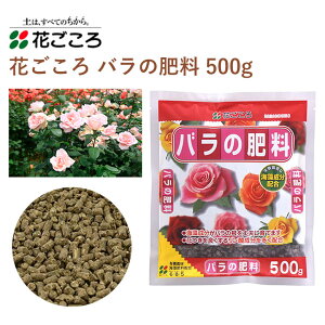Ԃ o̔엿 500g 엿 o | Aւ ybg y ȒP y |pi _Ǝ _Ɨpi ƒ؉ K[fjO K[fjOpi K[f   Ԓd A y