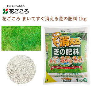 Ԃ ܂Ăł̔엿 1kg 엿  Ő ȒP |pi _Ǝ _Ɨpi K[fjO K[fjOpi K[f