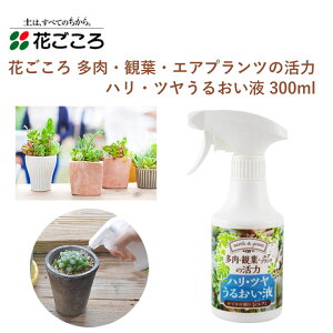 Ԃ EϗtEGAvc̊ nEc邨t 300ml ͉t A GA[vc | ȒP |pi _Ǝ _Ɨpi K[fjO K[fjOpi K[f