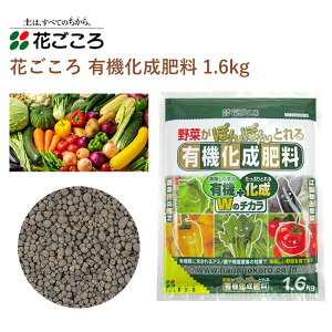 Ԃ L@엿 1.6kg 엿 L@  | |pi _Ǝ _Ɨpi K[fjO K[fjOpi K[f y ƒ؉   y