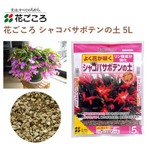 花ごころ シャコバサボテンの土 5L 培養土 シャコバサボテン 植え替え 園芸 園芸用品 農業資材 農業用品 ガーデニング ガーデニング用品 ガーデン 土壌改良 家庭菜園 花 野菜 土
