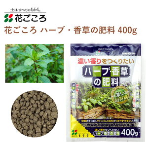 Ԃ n[uE̔엿 400g 엿 n[u  | Aւ | |pi _Ǝ _Ɨpi K[fjO K[fjOpi K[f y ƒ؉   y 엿