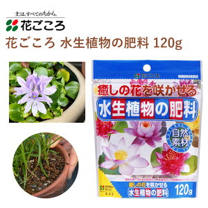 花ごころ 水生植物の肥料 120g 肥料 水生植物 園芸 植え替え 園芸用品 農業資材 農業用品 ガーデニング ガーデニング用品 ガーデン 土壌改良 家庭菜園 花 野菜 土 肥料 花