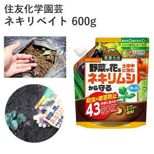 ZFw| lLxCg 600g E Eۍ lLV Q ʎ _ |pi _Ǝ _Ɨpi ƒ؉     tĖ H~ ͂  IN