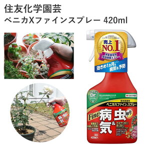 ZFw| xjJXt@CXv[ 420ml E Eۍ EEۍ Xv[ t Q ʎ _ |pi _Ǝ _Ɨpi ƒ؉     tĖ H~ ~jg}