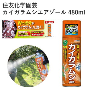 ZFw| JCKVGA][ 480ml E JCKV z~ Xv[ GA][ | _ ʎ _ |pi _Ǝ _Ɨpi ƒ؉ K[fjO K[fjOp