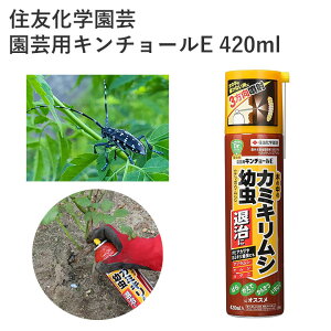 ZFw| |pL`[E 420ml E J~LV k Ԗ Xv[^Cv GA][ | _ ʎ _ |pi _Ǝ _Ɨpi ƒ؉ K[fjO K[fj