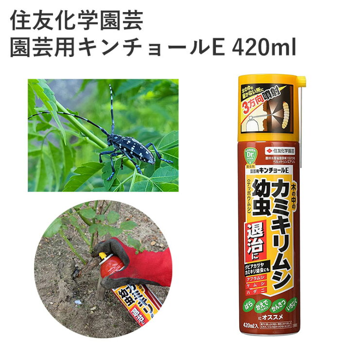 楽天市場 住友化学園芸 園芸用キンチョールe 4ml 殺虫剤 カミキリムシ 柑橘 花木 スプレータイプ エアゾール 園芸 農薬 効果持続 農薬 園芸用品 農業資材 農業用品 家庭菜園 ガーデニング ガーデニング用品 ガーデン 花 野菜 樹木 アブラムシ ケムシ ハダニ カワシマ