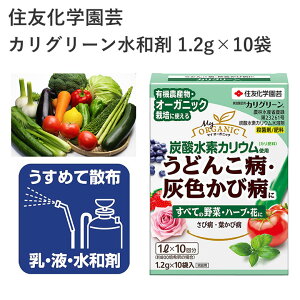 ZFw| JO[a 1.2g×10 Eۍ n I[KjbN _ | ʎ |pi _Ǝ _Ɨpi ƒ؉ K[fjO K[fjOpi K[f   