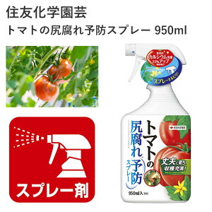 ZFw| g}g̐K\hXv[ 950ml K\h Xv[ JVE엿 | |pi _Ǝ _Ɨpi ƒ؉ K[fjO K[fjOpi K[f  g}g 