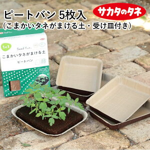 s[go 5 (Mt) | | ^l܂ GR RRs[g kH TJ^̃^l TJ^ y |{y g[ 󂯎M ܂ py