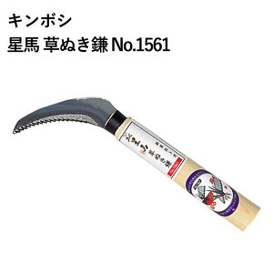 L{V n ʂ No.1561 | | _ K[fjO  ؎np p   n 