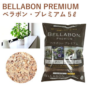 x{ v~A 5L x{ vcc[ 5L | | py z ې r  y 񂹐A MUO ϗtA  ʔ tWbN  V̎`bv GR