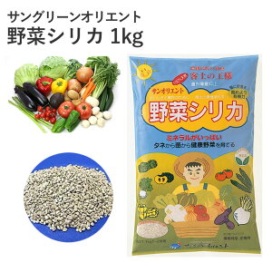 TO[IGg ؃VJ 1kg AQ}~ yǍ n͕ L@͔|  | _ A  PC_ A oϓI  