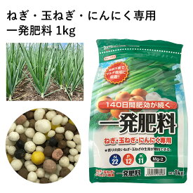 セントラルグリーン株式会社 ねぎ・玉ねぎ・にんにく専用 一発肥料 1kg 園芸 玉ねぎ ねぎ ネギ 葱 にんにく 肥料 農業 菜園 野菜 元肥 青ネギ 長ネギ