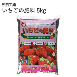 �����H�� �������̔엿 5kg ��p�엿 ��������p ������ �A�~�m�_ �L�@���� ������ �C�`�S � �엿 �����A�O���A