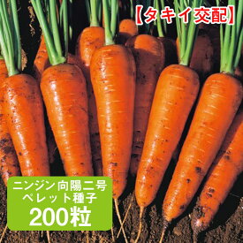 ニンジン 向陽二号 タキイ交配 ペレット種子 200粒 家庭菜園 野菜 種 種子 種まき にんじん 人参 栽培 農業 野菜作り 野菜 おすすめ タキイ 春 夏 作りやすい