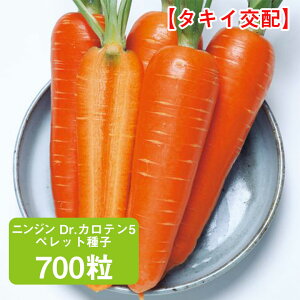 jW Dr.Je5 ^LCz ybgq 700 ƒ؉   q ܂ ɂ񂶂 lQ ͔| _ ؍   ^LC ₷