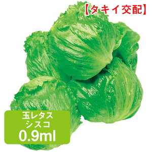 ʃ^X VXR 0.9ml ƒ؉   q ܂ ^X ꂽ `V ͔| _ ؍   ^LC ʔ ₷ 