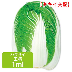 nNTC  ^LCz 1.0ml ͂  ƒ؉   ͔| _ ؍   Е Ђ L` ₷  ~ǂ
