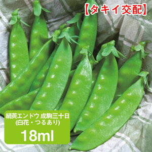 䰃GhE O\(ԁE邠) ^LC琬 18ml ƒ؉   q ܂ GhE ǂ TGhE ₦ǂ ͔| _ ؍   ^LC ʔ 