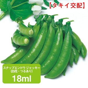 XibvGhE WbL[iԁE邠j18ml ƒ؉   q ܂ GhE ǂ TGhE ₦ǂ GhE} ǂ܂ ܂  ͔| _ ؍ 