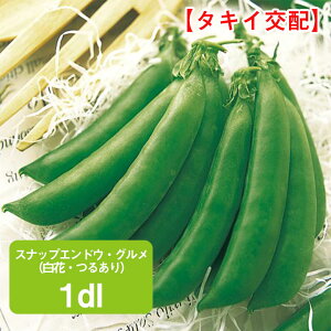 XibvGhE OiԁE邠j 1dl ƒ؉   q ܂ GhE ǂ TGhE ₦ǂ GhE} ǂ܂ ܂  ͔| _ ؍  