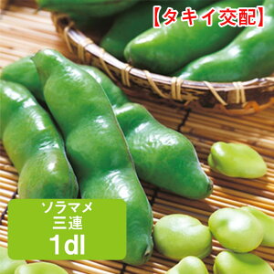 \} OA 1dl ƒ؉   q ܂ 瓤 ܂ \ ܂  ͔| _ ؍   ^LC ʔ ₷