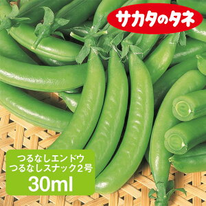 ȂGhE ȂXibN2 30ml ƒ؉   q ܂ Ȃǂ Ȃ XibN 氓 ܂  ͔| _ ؍   TJ^̃^l TJ^ ʔ 