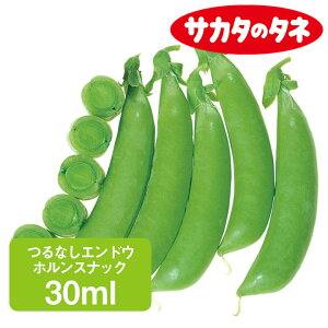 ȂGhE zXibN 30ml ƒ؉   q ܂ Ȃǂ Ȃ XibN 氓 ܂  ͔| _ ؍   TJ^̃^l TJ^ ʔ 