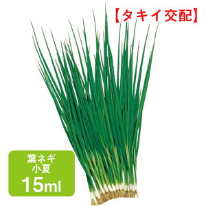 tlM  ^LCz 15ml ƒ؉   q K[fjO ͔| _ ؍   ʔ ^LC K ˂ lM t˂