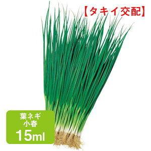tlM t ^LCz 15ml ƒ؉   q K[fjO ͔| _ ؍   ʔ ^LC K ˂ lM t˂ ₷