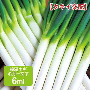 [lM ꕶ ^LCz 6ml ƒ؉   q K[fjO ͔| _ ؍   ʔ ^LC K ˂ lM [˂