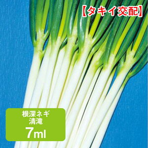 [lM  7ml ƒ؉   q K[fjO ͔| _ ؍   ʔ ^LC K ˂ lM [˂