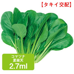 R}ci ĊyV ^LCz 2.7ml ƒ؉   q K[fjO ͔| _ ؍   ʔ  ₷ 牠  