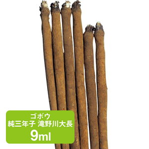 S{E ONq 咷 9ml ƒ؉   q K[fjO ͔| _ ؍   ʔ ^LC ڂ  牠