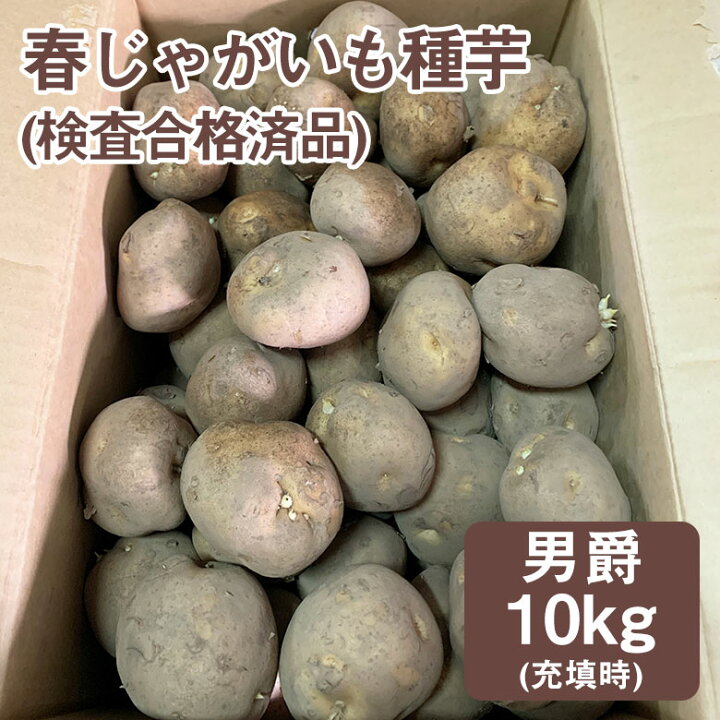 楽天市場】春じゃがいも種芋 男爵 10kg 詰 充填時 検査合格済品 