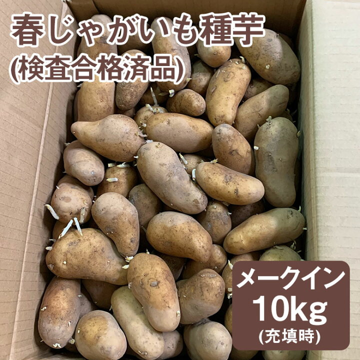 楽天市場】春じゃがいも種芋 メークイン 10kg 詰 充填時 検査合格済品 