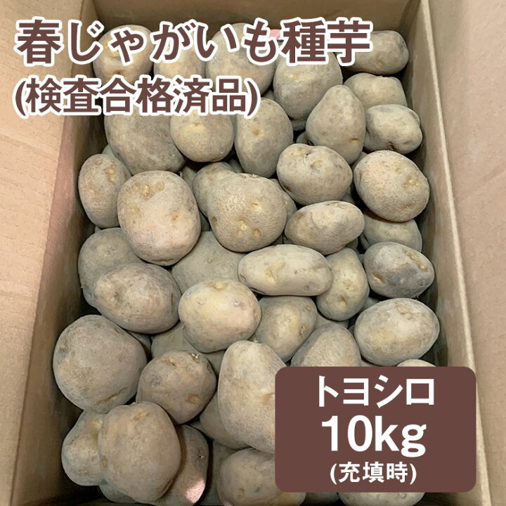 楽天市場】春じゃがいも種芋 トヨシロ 10kg 詰 充填時 検査合格済品 