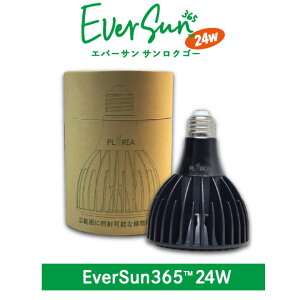 [XC Ever Sun365 24W Go[TTNS[ 365ɑz LED A琬Cg  365 24W A 򍪐A