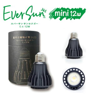 Ever Sun365 mini12W ubN Go[TTNS[ 365ɑz LED A琬Cg  365 12W A 򍪐A ubN ~j