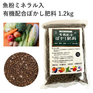 ~l L@zڂ엿 1.2kg L@z ڂ    ʎ Ԗ I[KjbN SS 엿 Rh| AS |pi _Ǝ _Ɨpi ƒ؉    