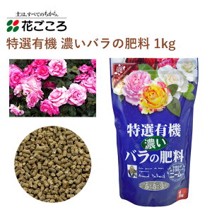 Ԃ IL@ Zo̔엿 1kg 엿 o [Y | j[z Aւ K[fjO |pi _Ǝ _Ɨpi K[fjOpi