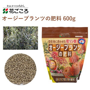 Ԃ I[W[vc̔엿 600g 엿 I[W[vc ჊_ | 2 Aւ K[fjO |pi _Ǝ _Ɨpi K[fjOpi