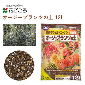 Ԃ I[W[vc̓y 12L py I[W[vc ჊_ | Aւ K[fjO |pi _Ǝ _Ɨpi K[fjOpi