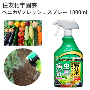 ZFw| xjJVtbVXv[ 1000ml E Eۍ t Xv[ Q ʎ _ |pi _Ǝ _Ɨpi ƒ؉     ϗtA  tĖ H~ g
